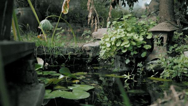 回归乡村的年轻人：自耕自食，无需财务自由