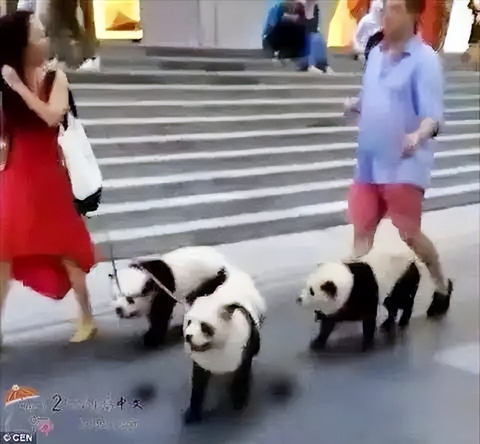 中国十大顶流女明星,顶流女明星穿越电视剧