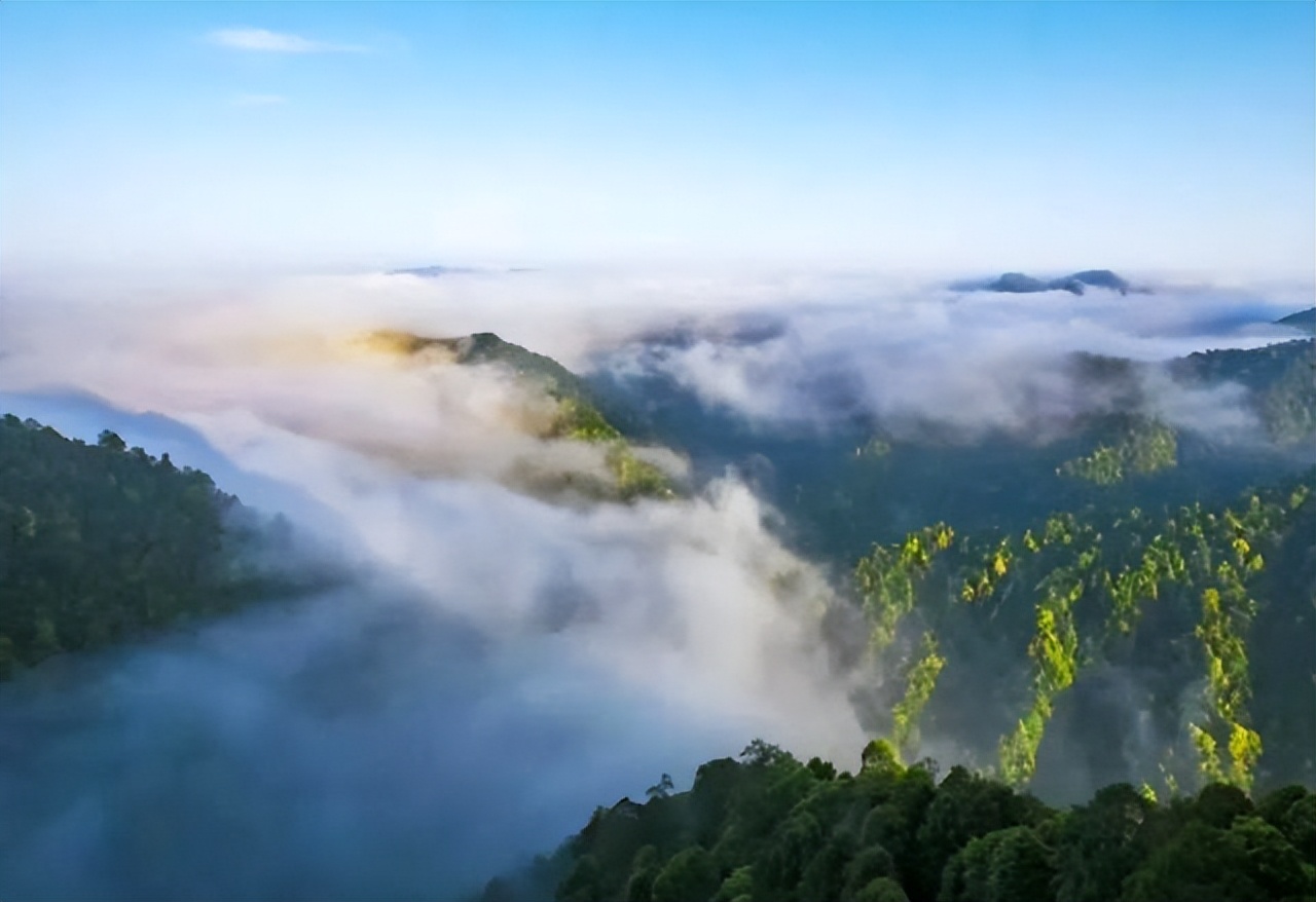 江西有几座山是5a级景区,江西爬山5a景区有哪些