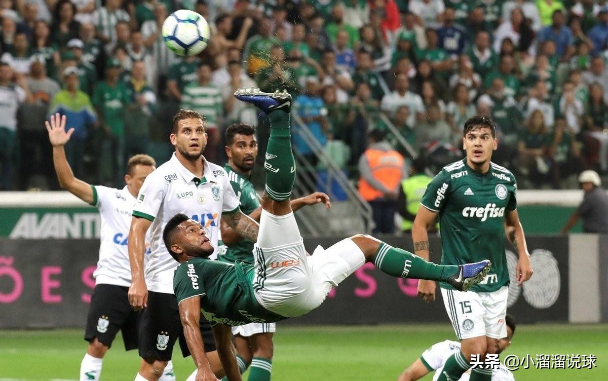 巴西杯圣保罗vs帕尔梅拉斯,圣保罗vs帕梅拉斯今日视频