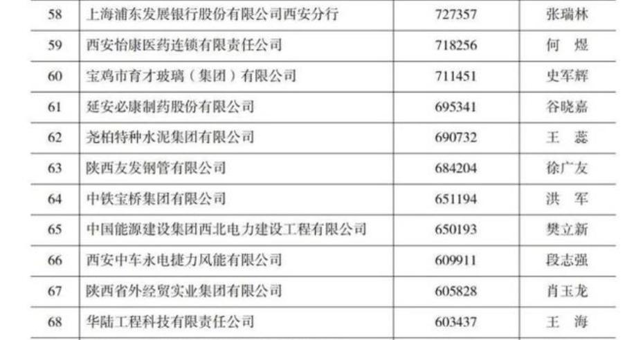 陕西延安必康制药股份有限公司,延安必康2019年业绩