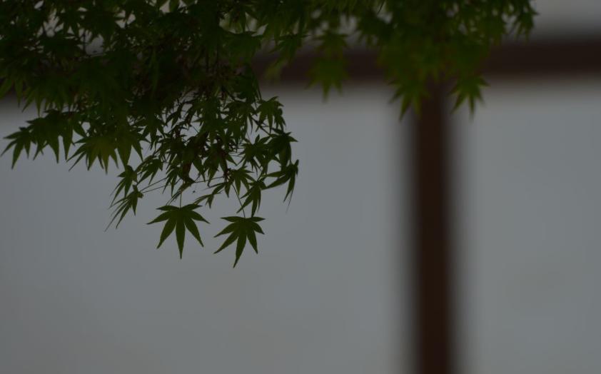 期货短线波段交易方法,期货短线交易技巧和方法是什么