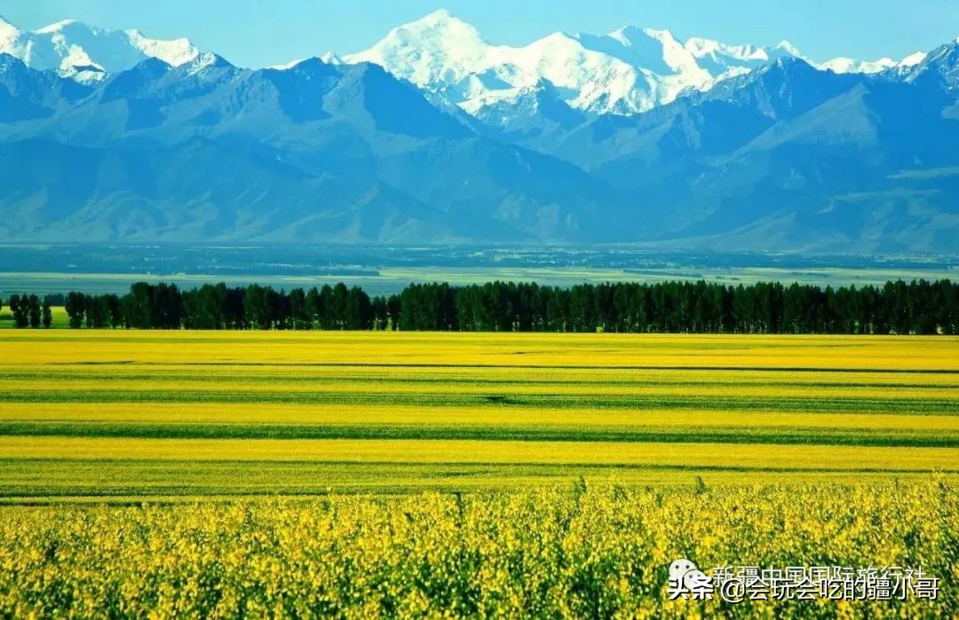新疆南疆最有必要去的旅游胜地,新疆唯一没有戈壁的县
