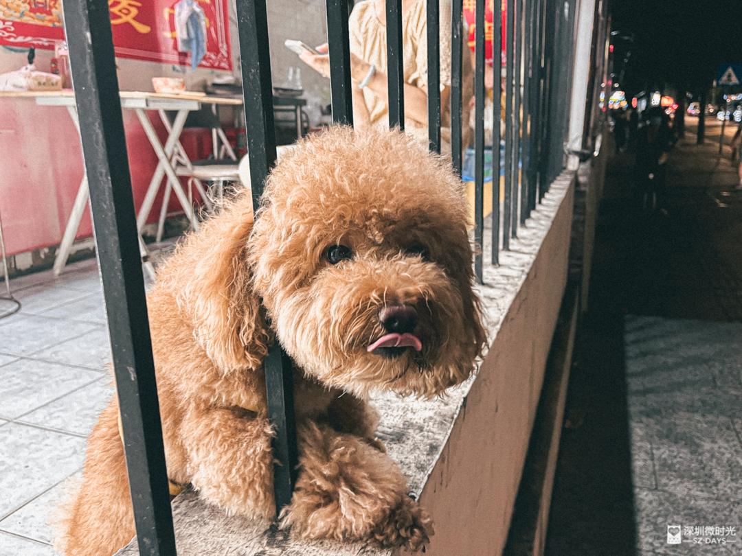 黄贝岭简介,广州黄贝岭