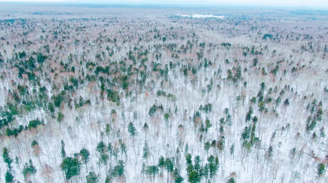 中国人冒死拍的纪录片,一群中国人冒死拍摄