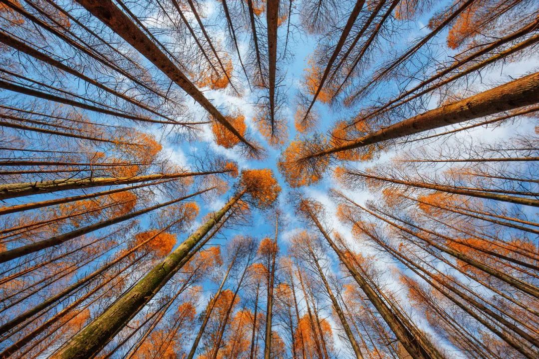 60岁之前必去的34省区最美天堂,最真实最美的旅游地方