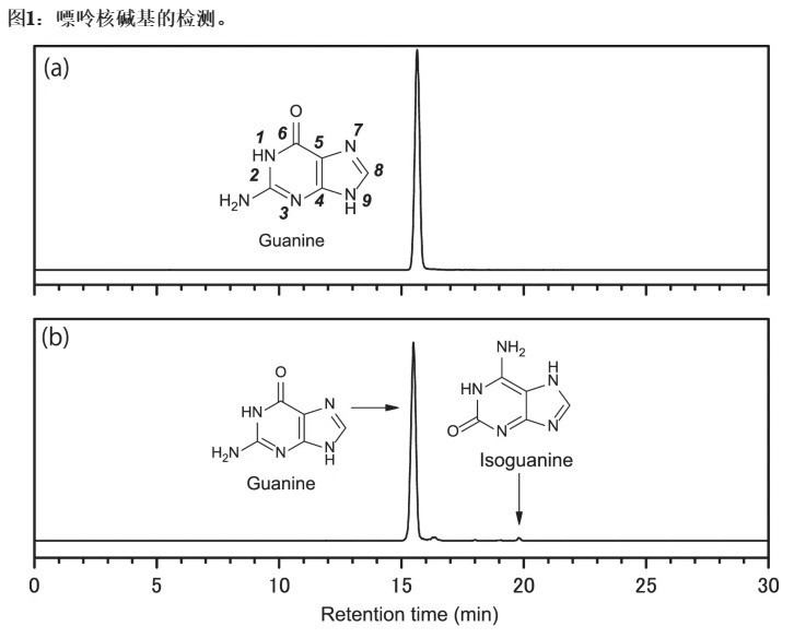 陨石降临地球开启了基因进化之旅,人类进化与外星陨石