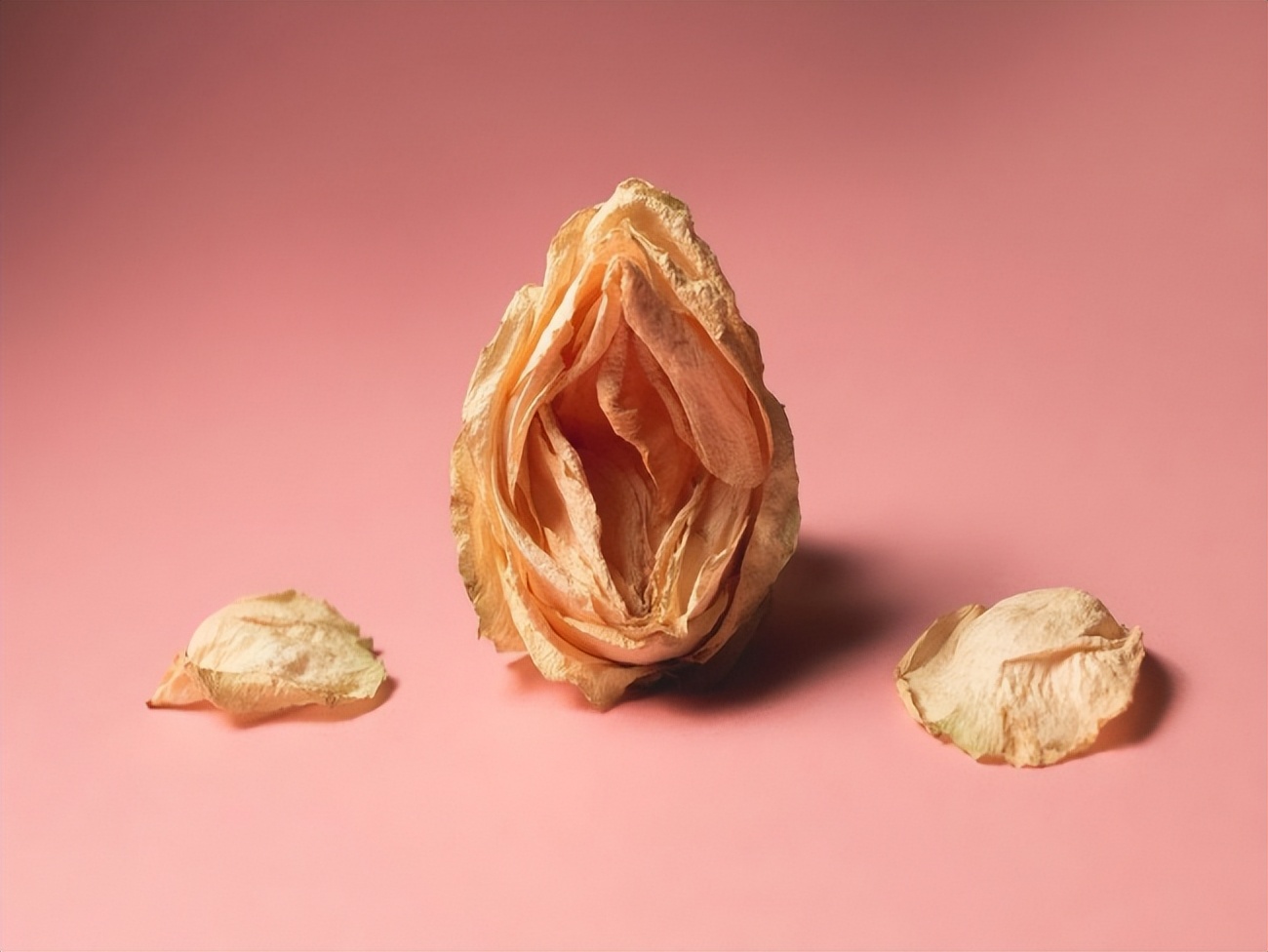 妇炎洁值得购买吗,妇炎洁为什么有好多版本