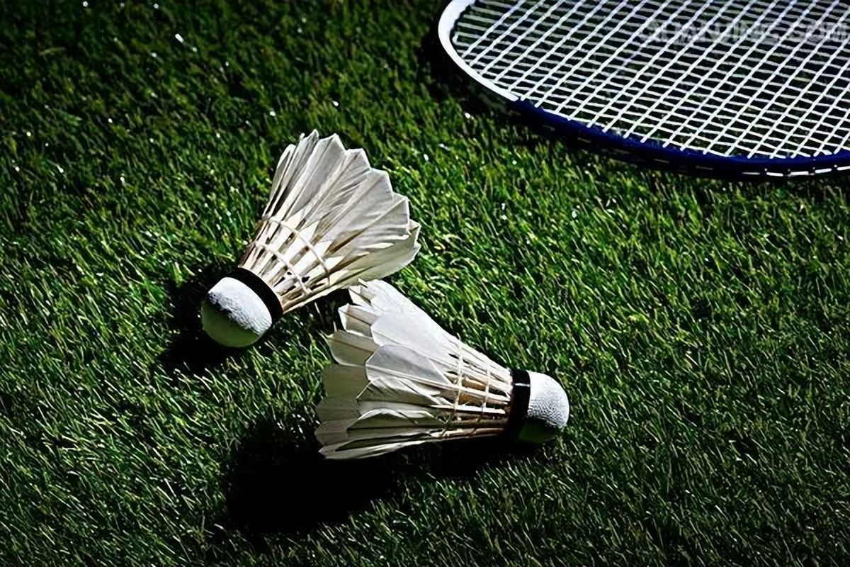 羽毛球团体赛排兵布阵技巧,羽毛球比赛排兵布阵技巧