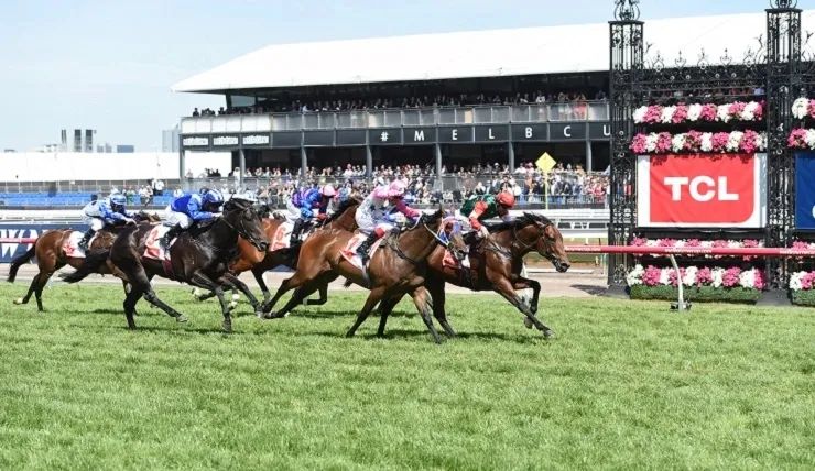 原来，茅台、TCL、三一重工……早成了国外赛马的“资深玩家”