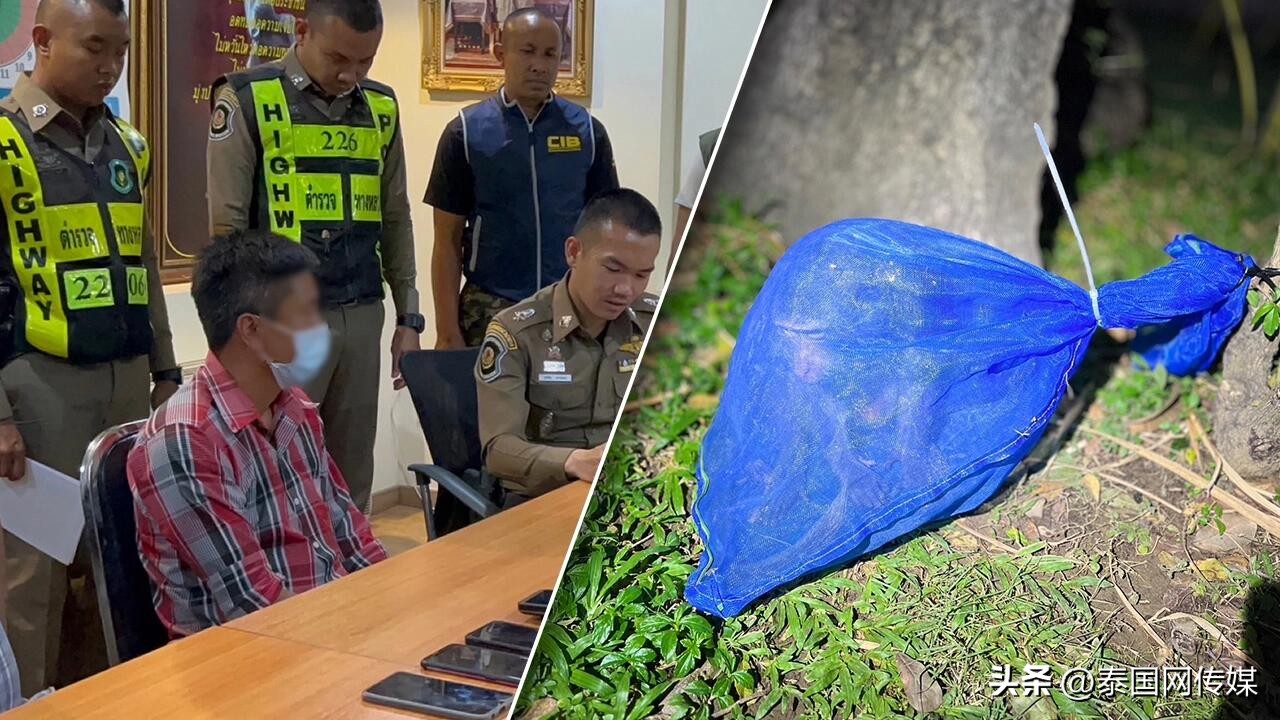 泰国猴子被捕名单,泰国猴子集体被逮捕