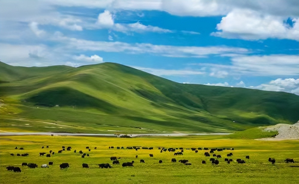 美国女孩回中国爸爸故乡：牦牛绒围巾卖欧洲，带草原牧民赚欧元
