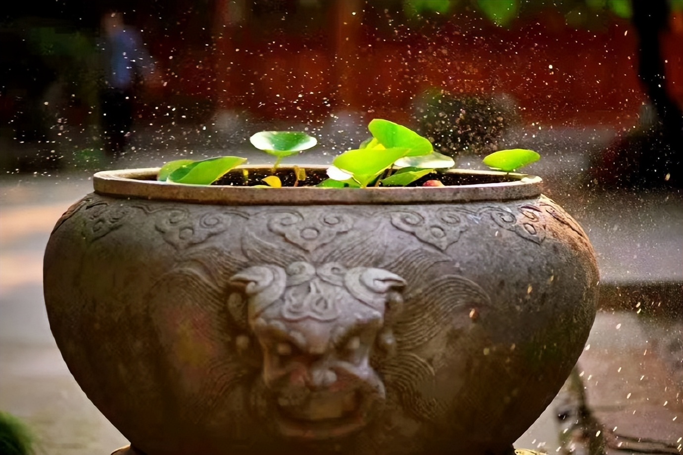 老人去世遗物留不留,家里祖辈过世有何禁忌