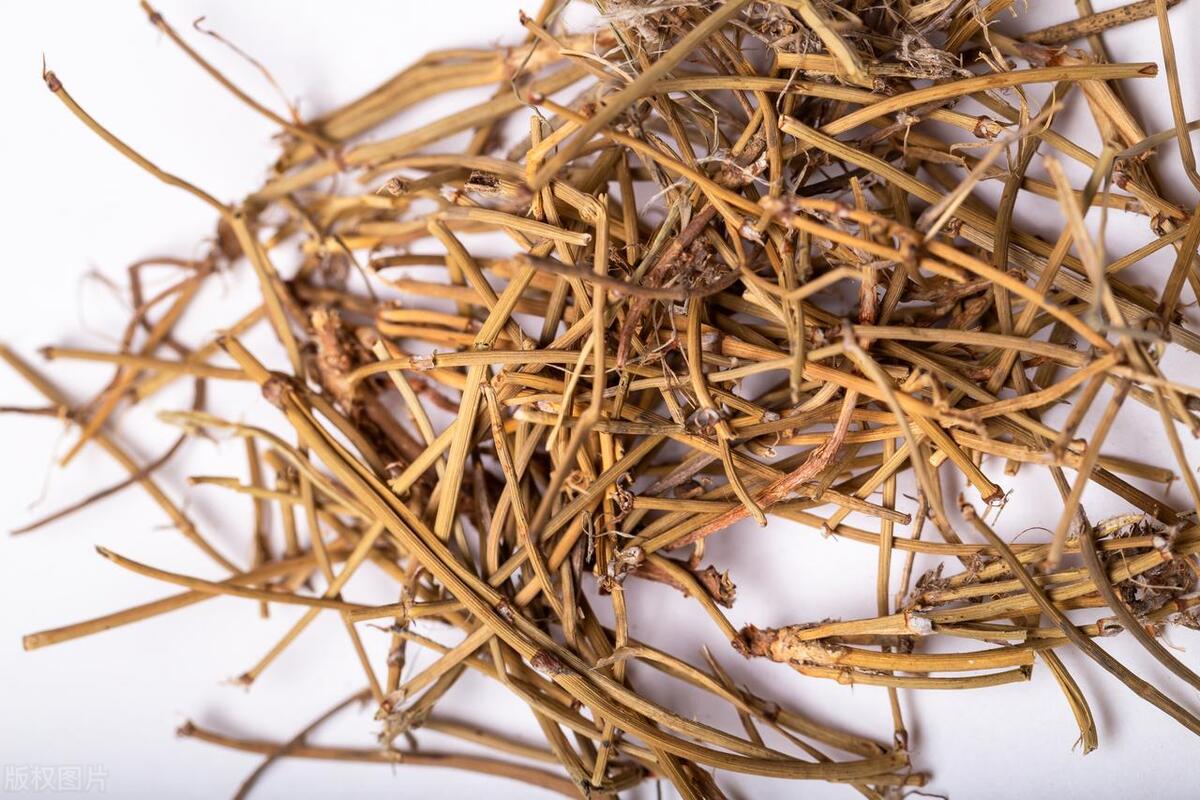 中药麻黄被禁用了吗,中药麻黄过敏的症状及处理