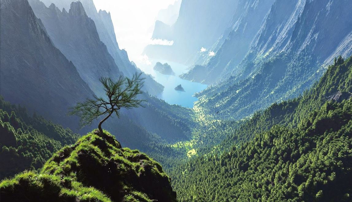 移民芬兰和移民新西兰的对比,移民纽芬兰政策