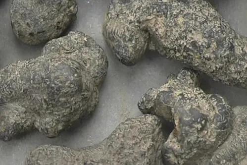 2017年中药材行情,2022年中药材价格行情