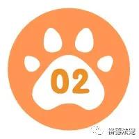 深圳电子犬证怎么办理,深圳在哪里办理养犬登记