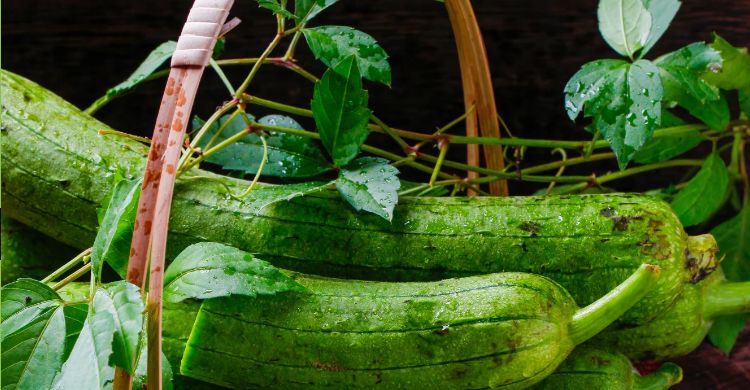 餐桌上四大食物是养肝护肝的宝贝,早餐敞开吃这4种食物养肝护肝