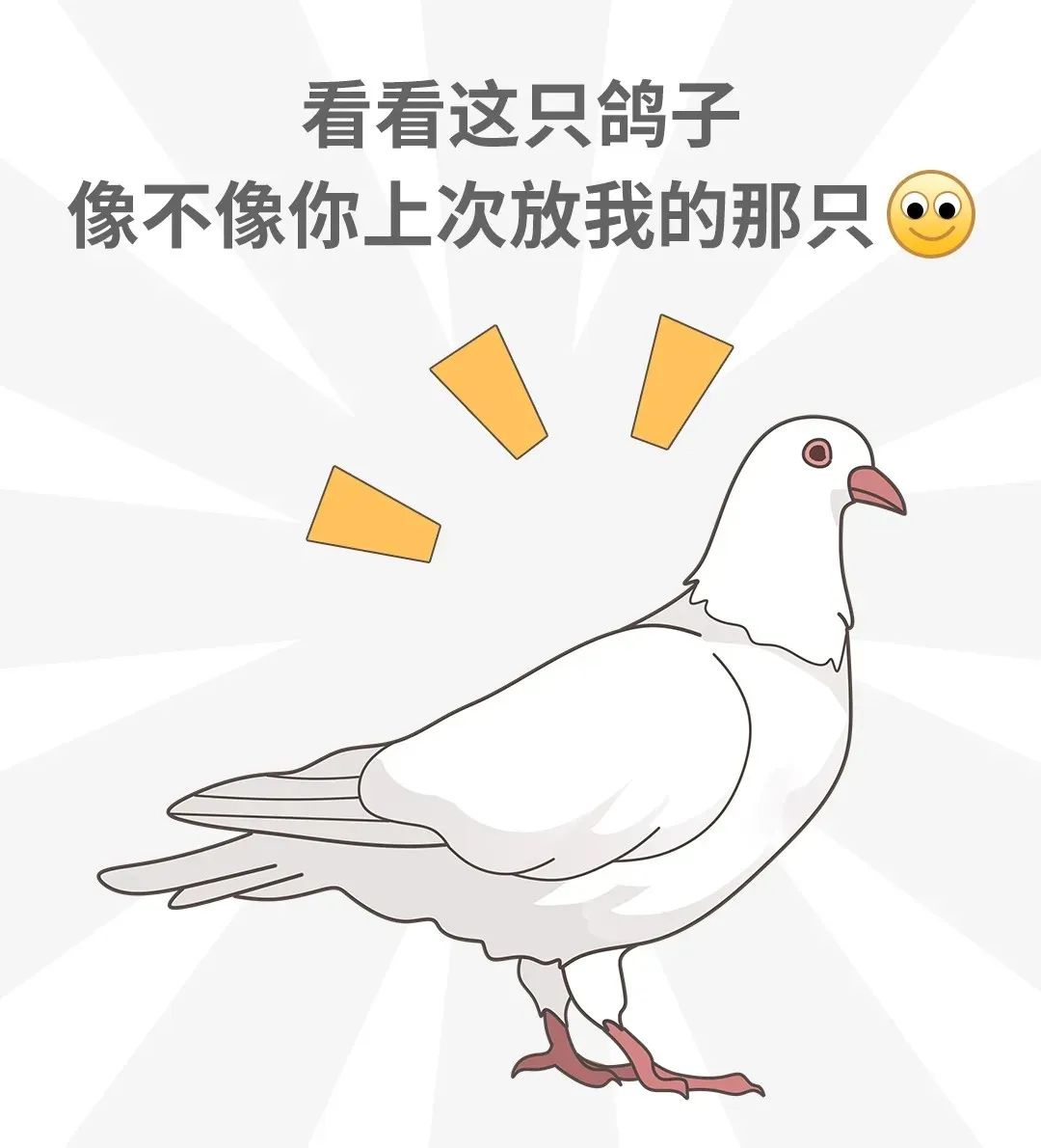 至少11家商场又爽约！鸽就鸽吧，能开就好