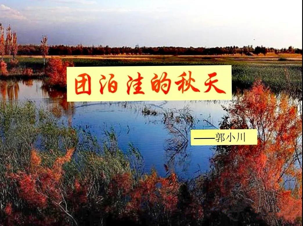 郭小川团泊洼的秋天,团泊洼的秋天读后感