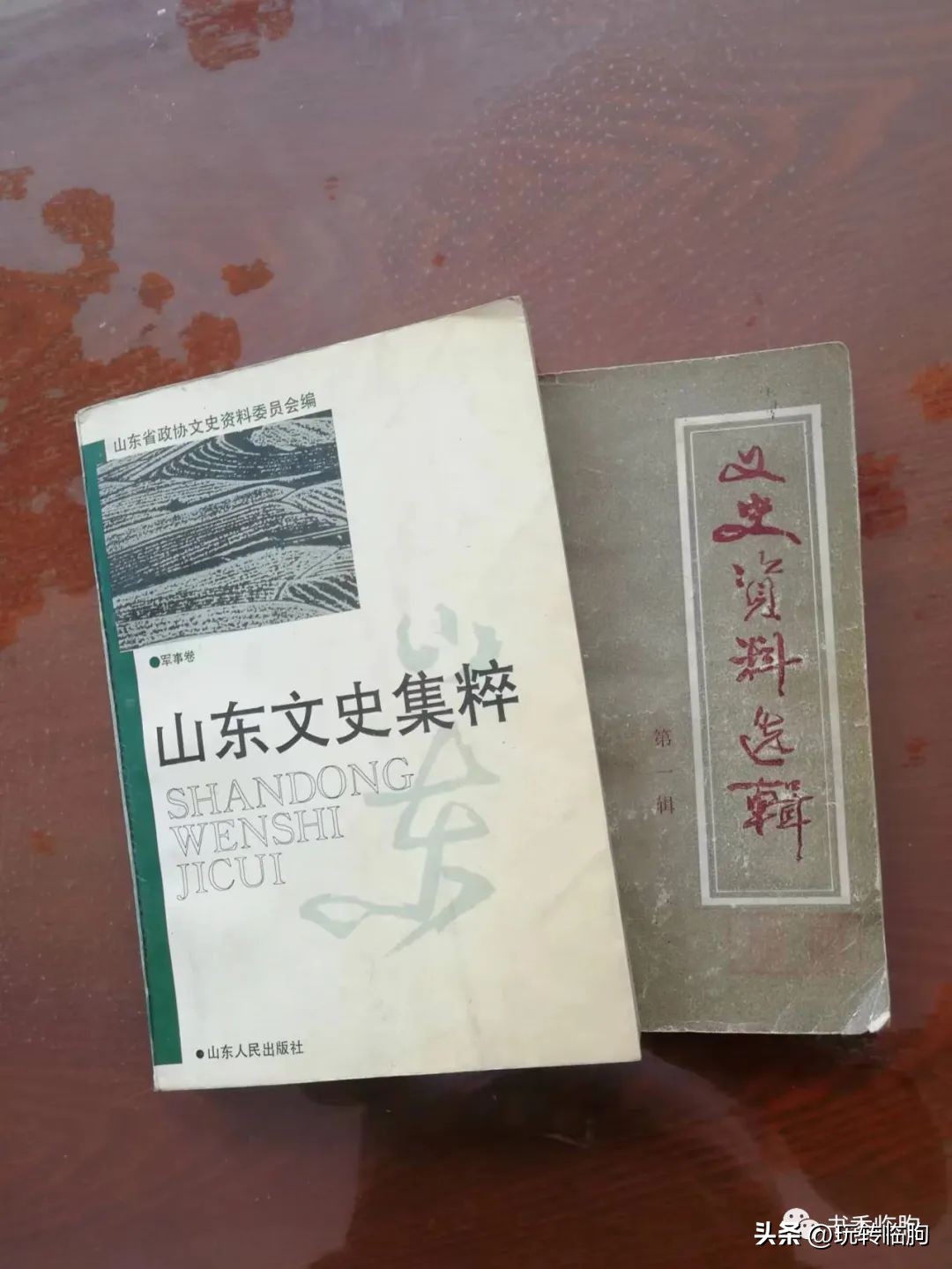 浅析山东省保安十七旅全军覆没原因