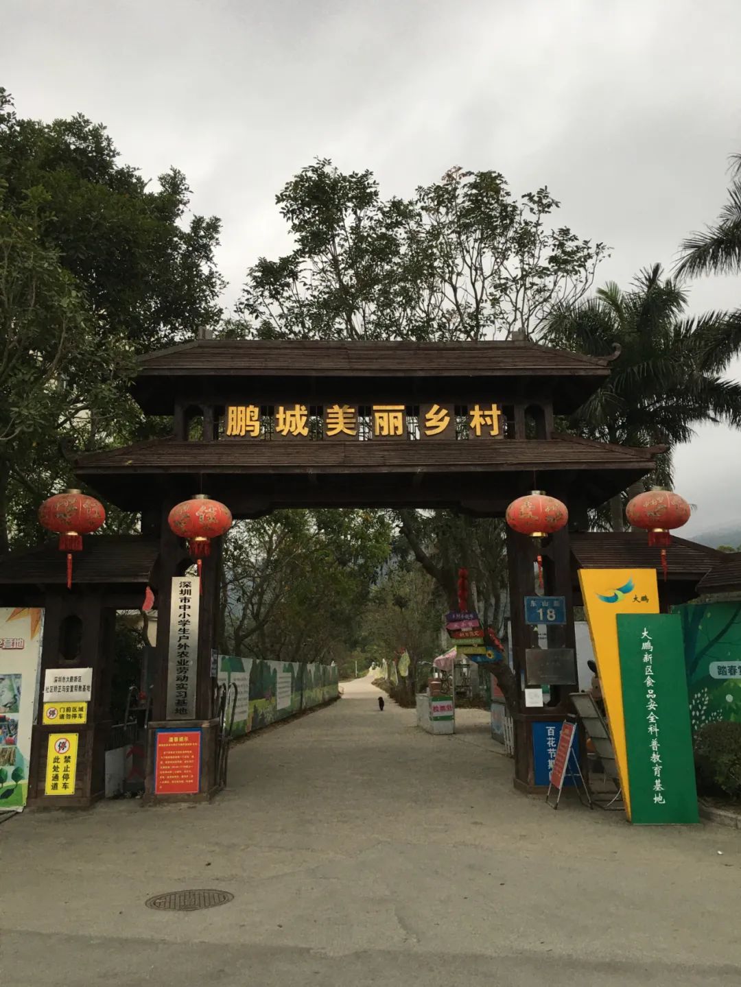 《旭光骑行深圳》第19站——大鹏新区大鹏街道