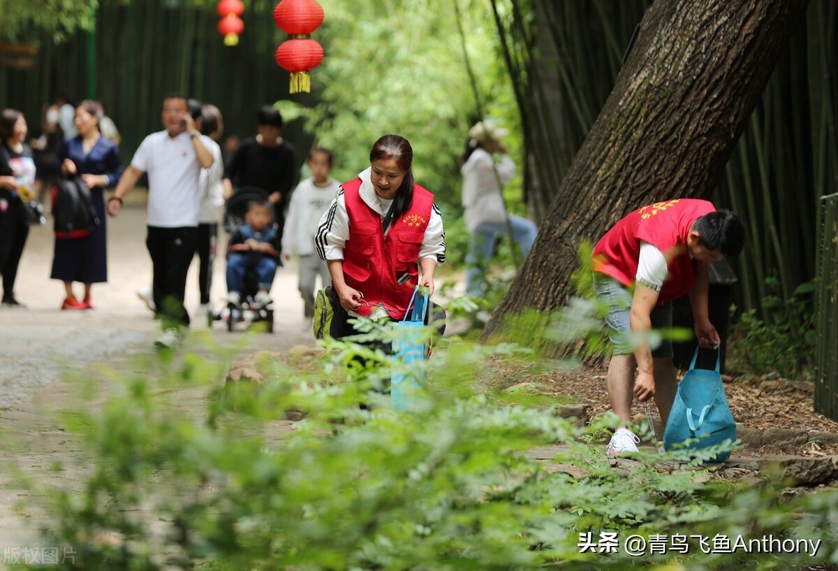 绿色是高质量发展的最美底色,人与自然和谐共生贡献绿色力量