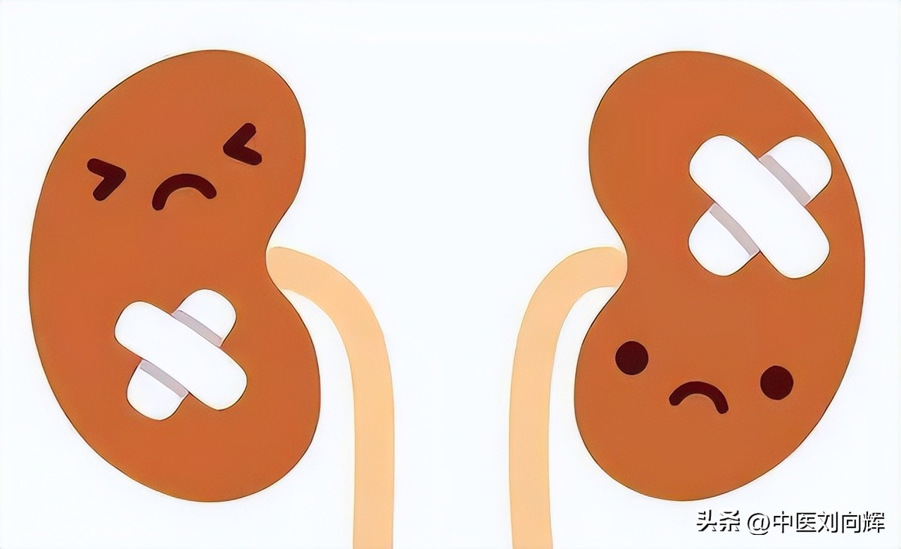 脾胃湿热下焦湿热大腿潮湿,大腿深处湿热吃什么中成药