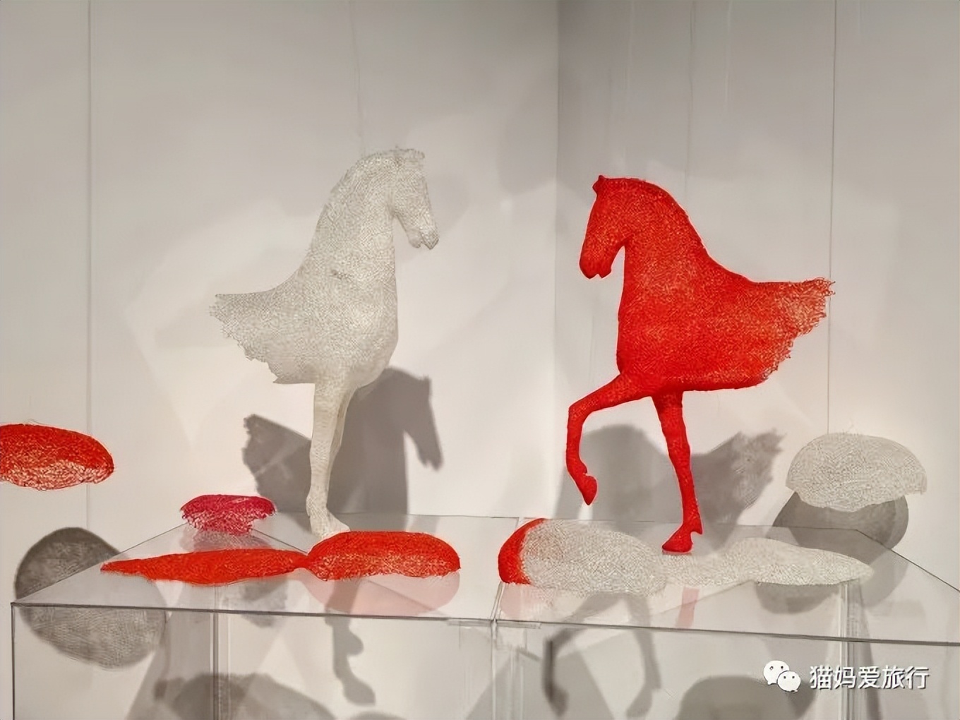 青岛过年遛娃好去处,青岛遛娃圣地