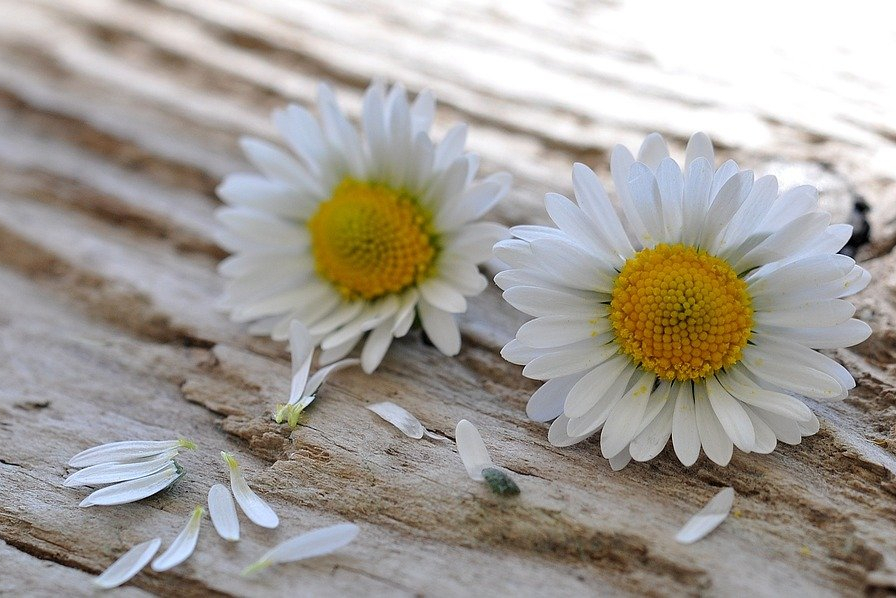 当发现自己的老公背叛你怎么办,发现丈夫背叛后该怎么做