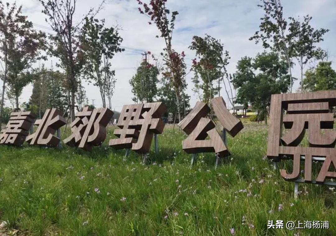 找到一处绝佳完美露营地,强烈推荐露营地