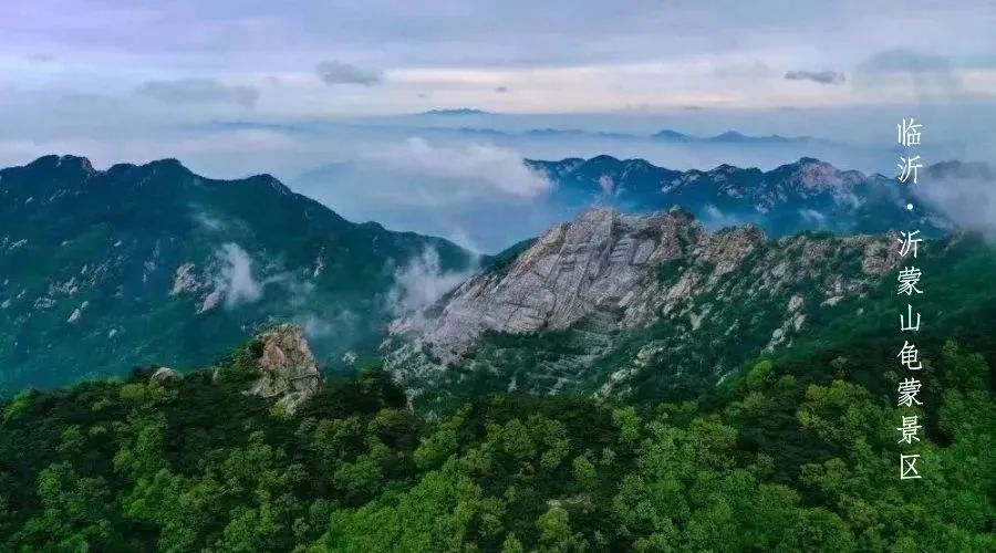 邀您共赏春,邀您一起奔赴冬日之约