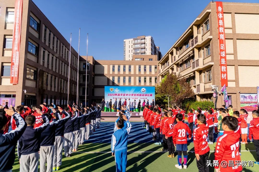 赋能于师丨城区学区在行动!