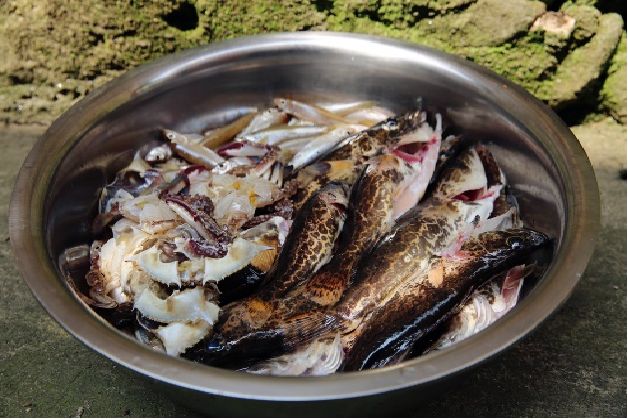 遂昌吃喝玩乐的地方,遂昌千佛山旅游度假