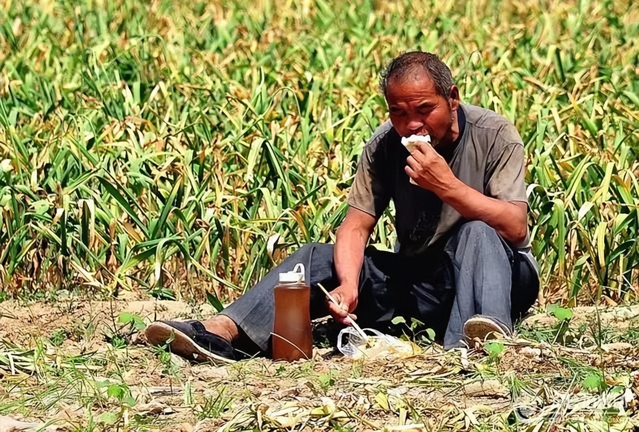 2023年养老金调整哪个省出政策了,2023年养老金调整平均能补多少