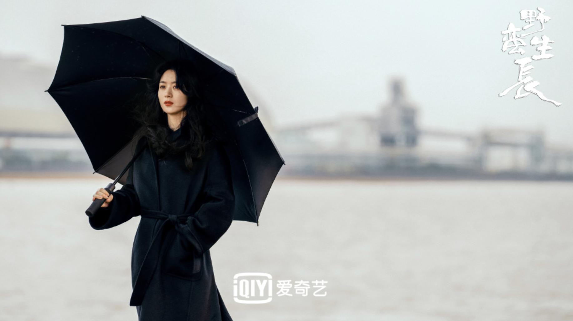 赵丽颖明年新剧,赵丽颖新剧野蛮生长定档