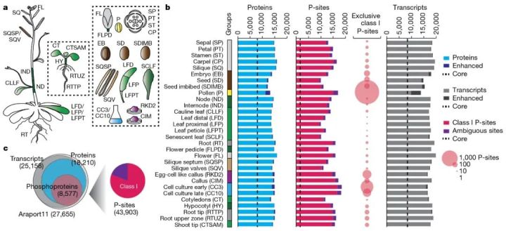 怎么看质谱图解,质谱科普时刻