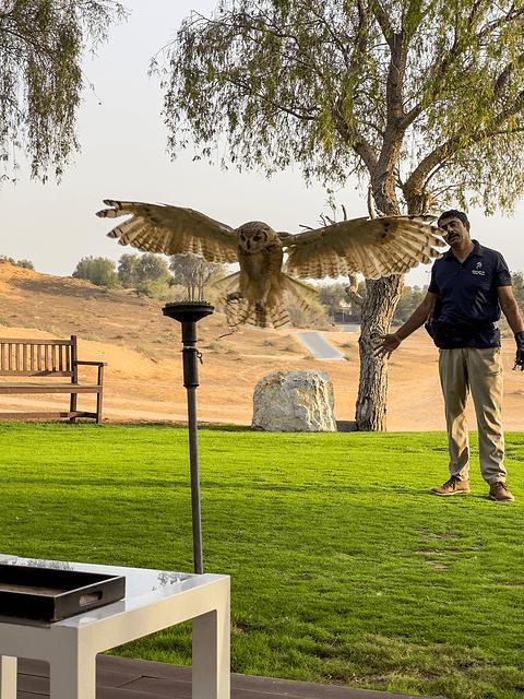 哈伊马角利兹卡尔顿,哈伊马角沙漠丽思卡尔顿酒店