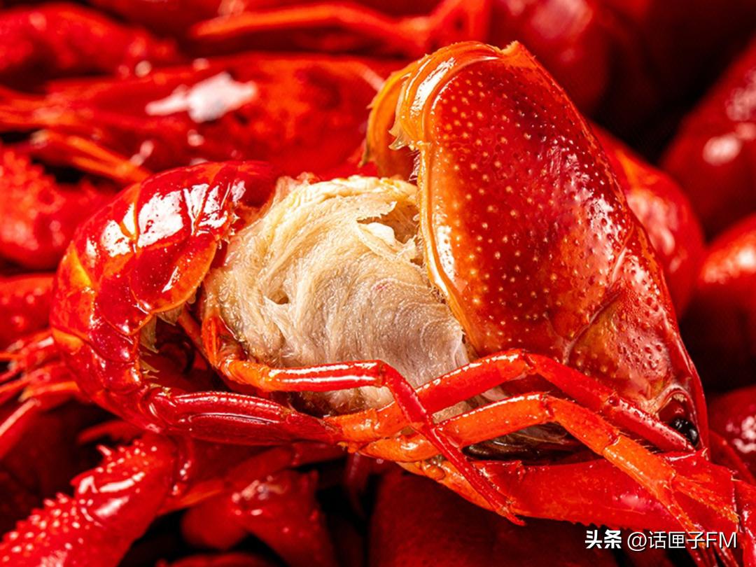 又到了“吃虾季”，有人畅吃三公斤，有人却吃出“病危通知”，到底咋回事？