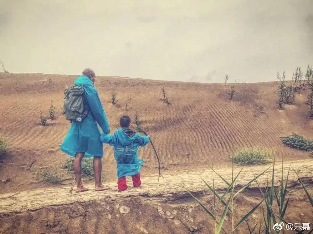 孟非跟乐嘉有什么纠结,孟非乐嘉现状