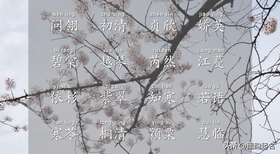 寓意美好的诗词取女宝名,诗词取名带语字女孩