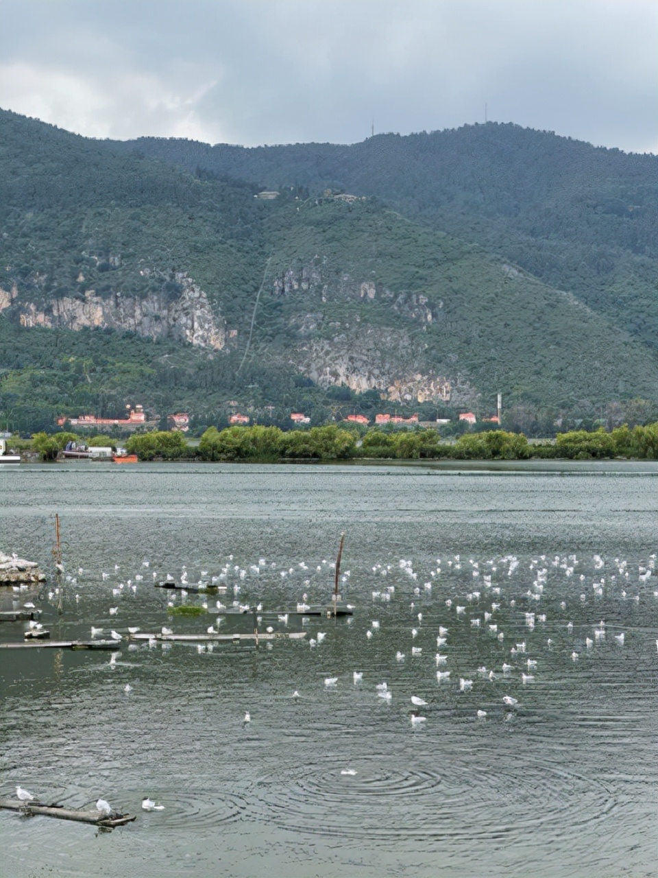 昆明一座让人流连忘返的城市,被低估的旅游城市昆明