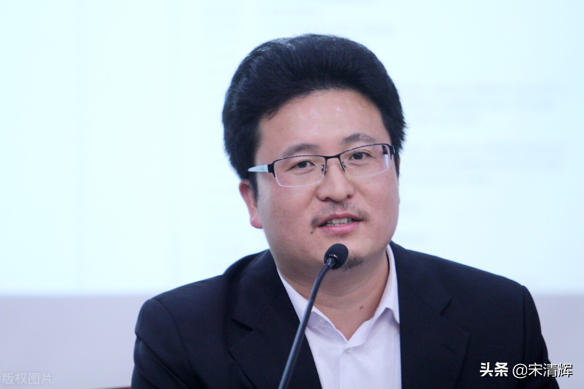 宋清辉评鸿蒙,宋清辉谈互联网智库