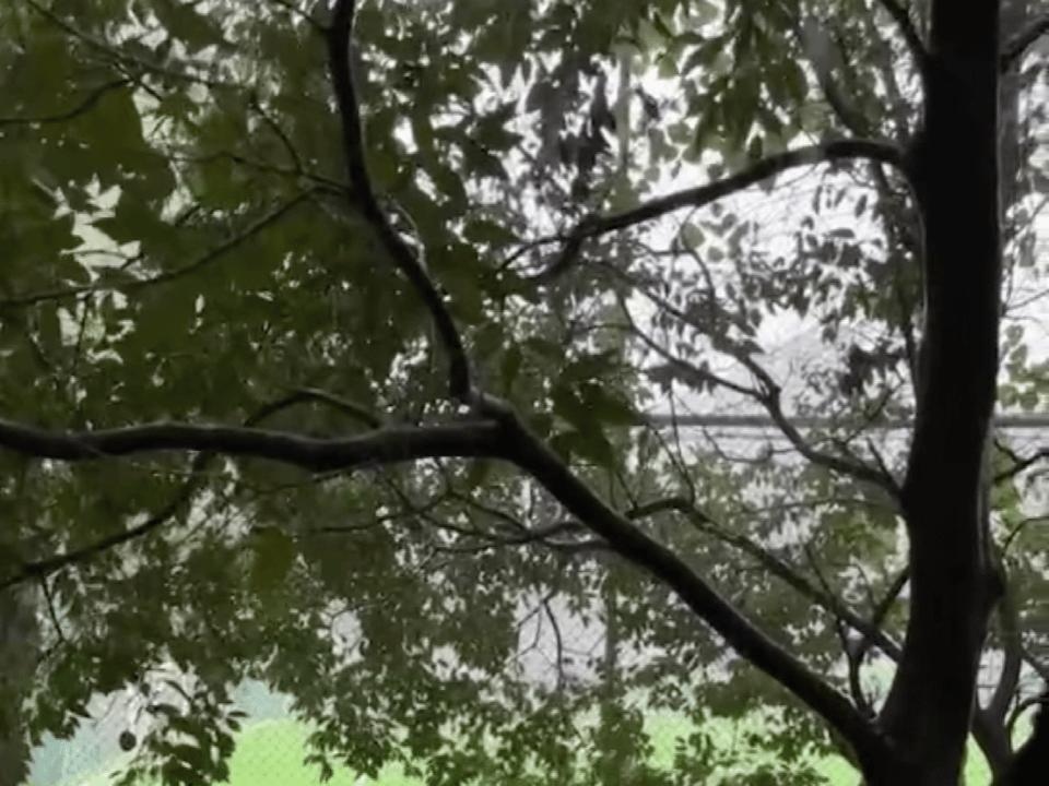 一切源于对足球的热爱,这才是对足球真正的热爱