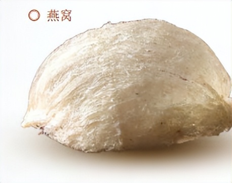 藏文科普|你的燕窝白补了?