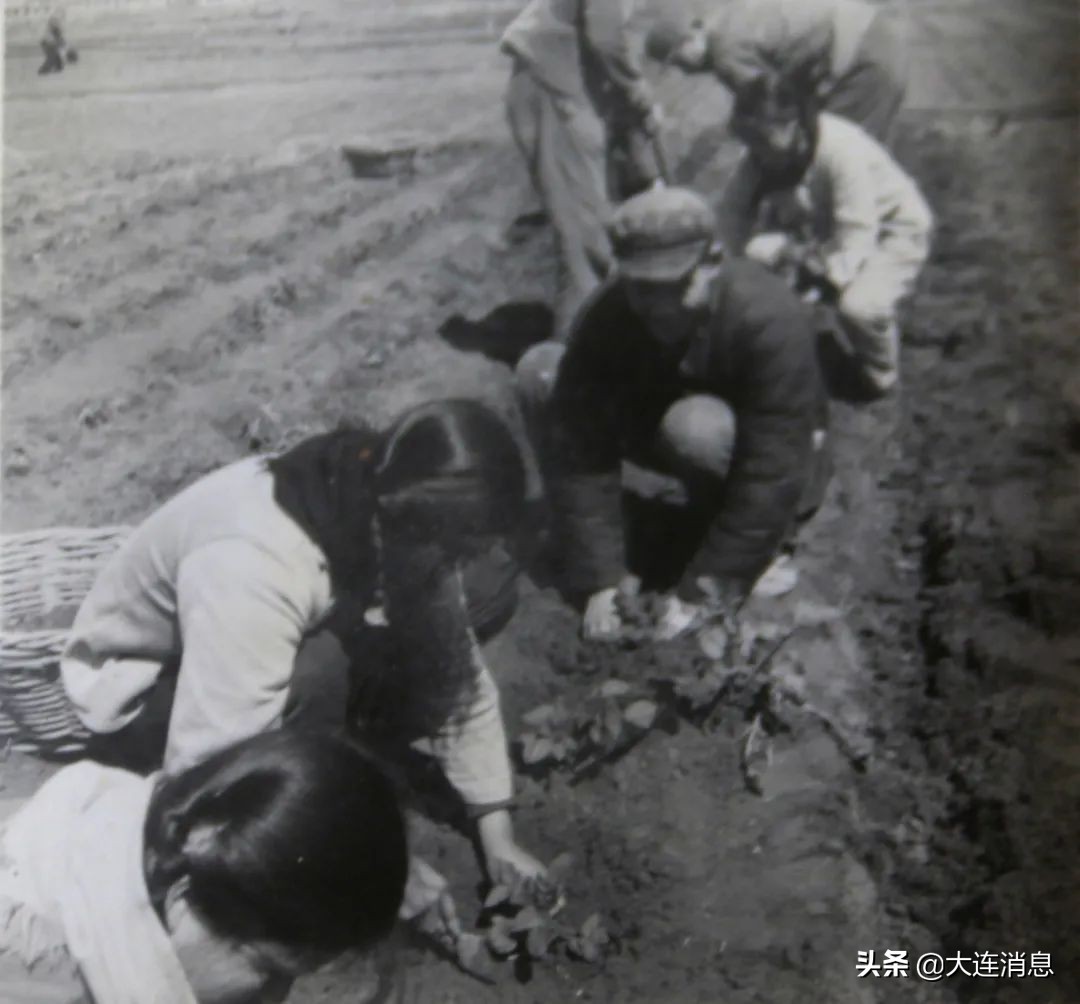 大连金州登沙河看事,辽宁省大连市金州区登沙河街道