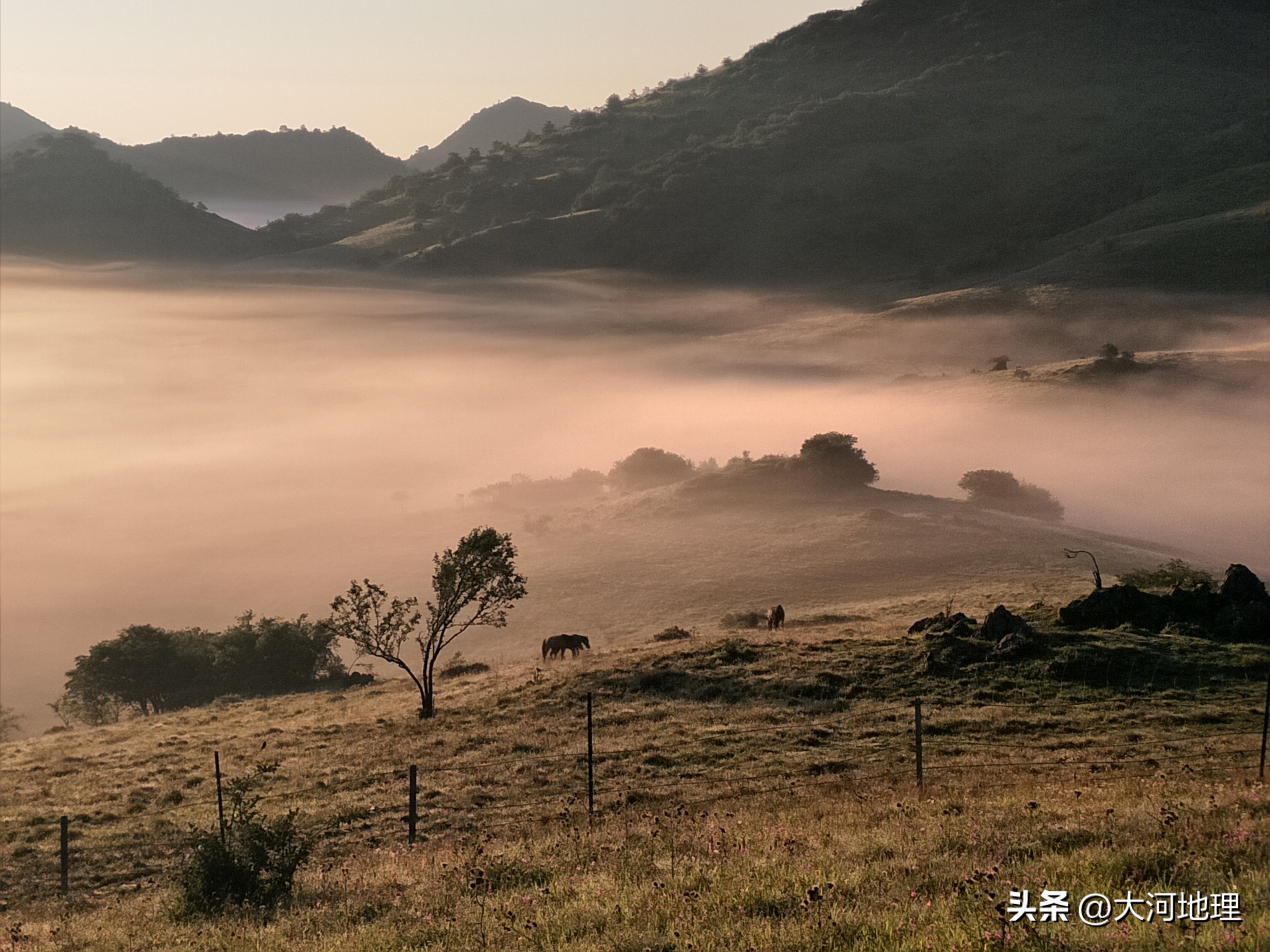 中国南方这30个景点,难说多知名,但敢说它的秋色最艳最浪漫