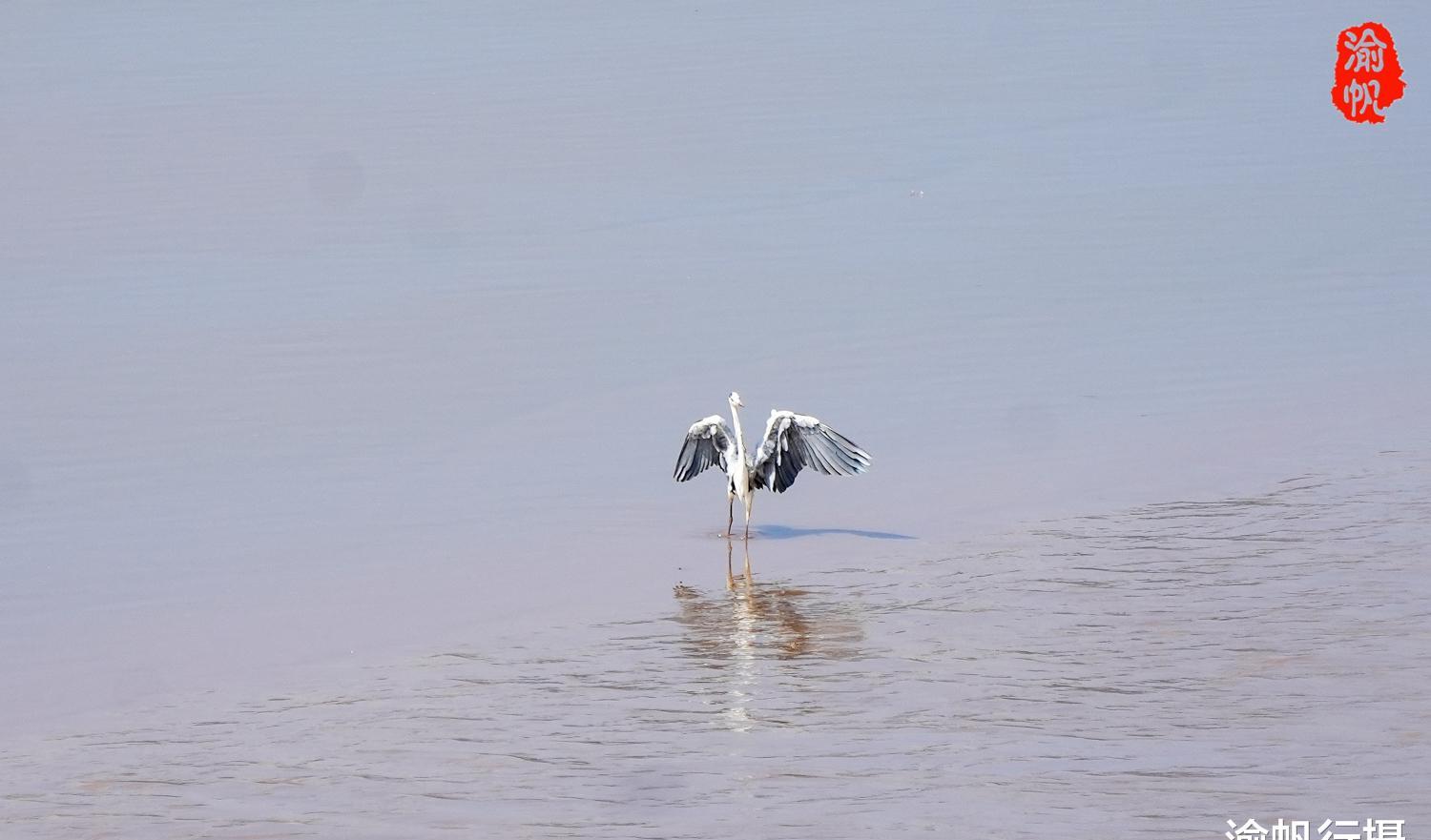 瑞安新外滩参观,瑞安新外滩游玩