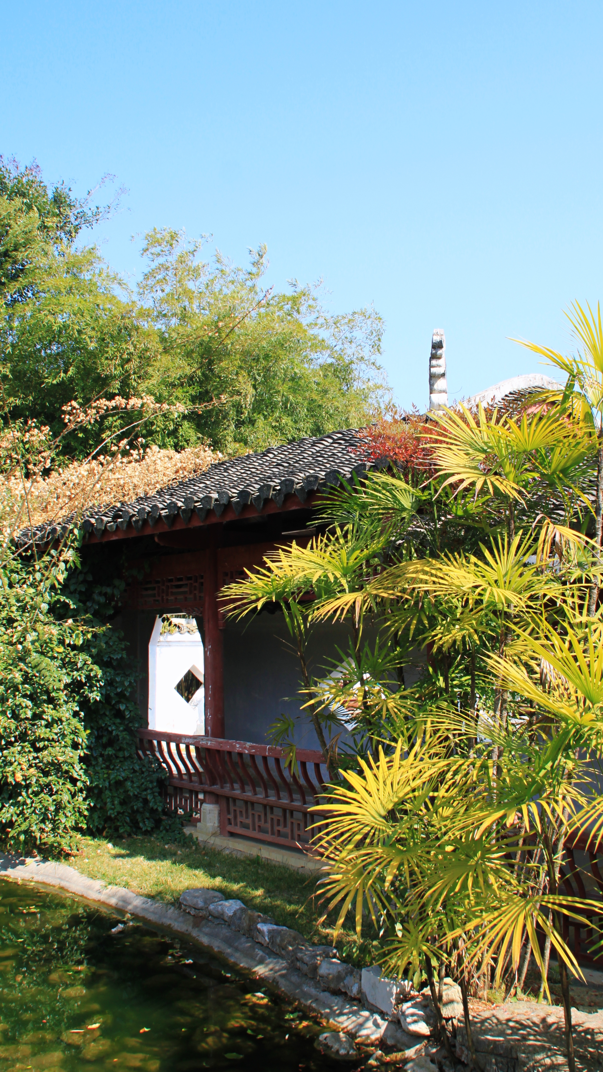 多彩贵州醉美黄果树,多彩贵州风演出黄果树