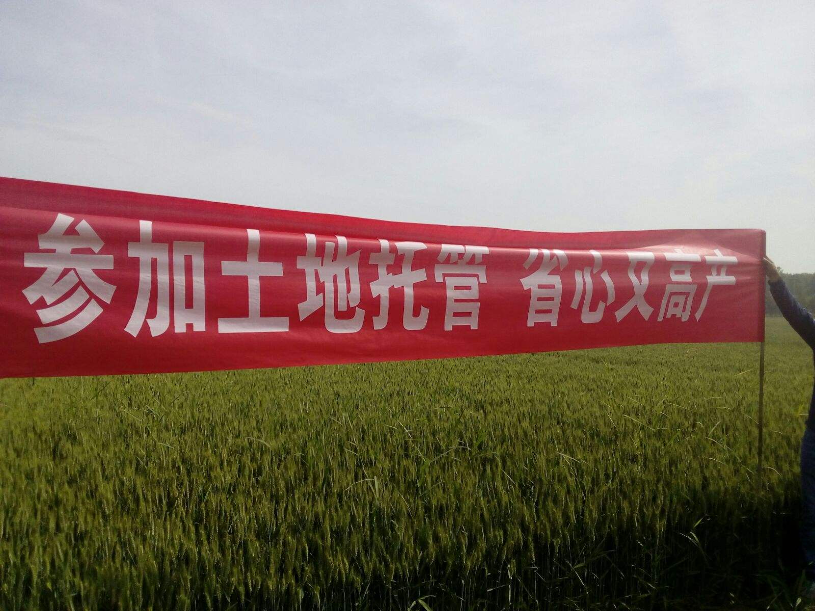 年轻人不回村，20年后农村没人，谁来种地？又有新答案了